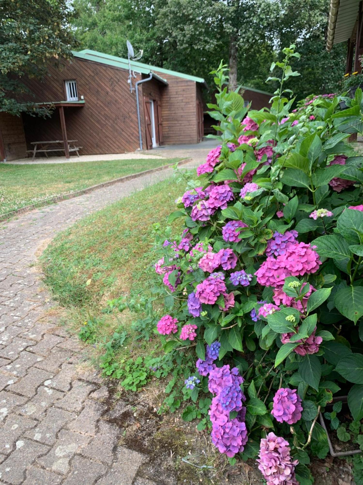 Chalets Mouliere Evasion Montamisé Eksteriør billede