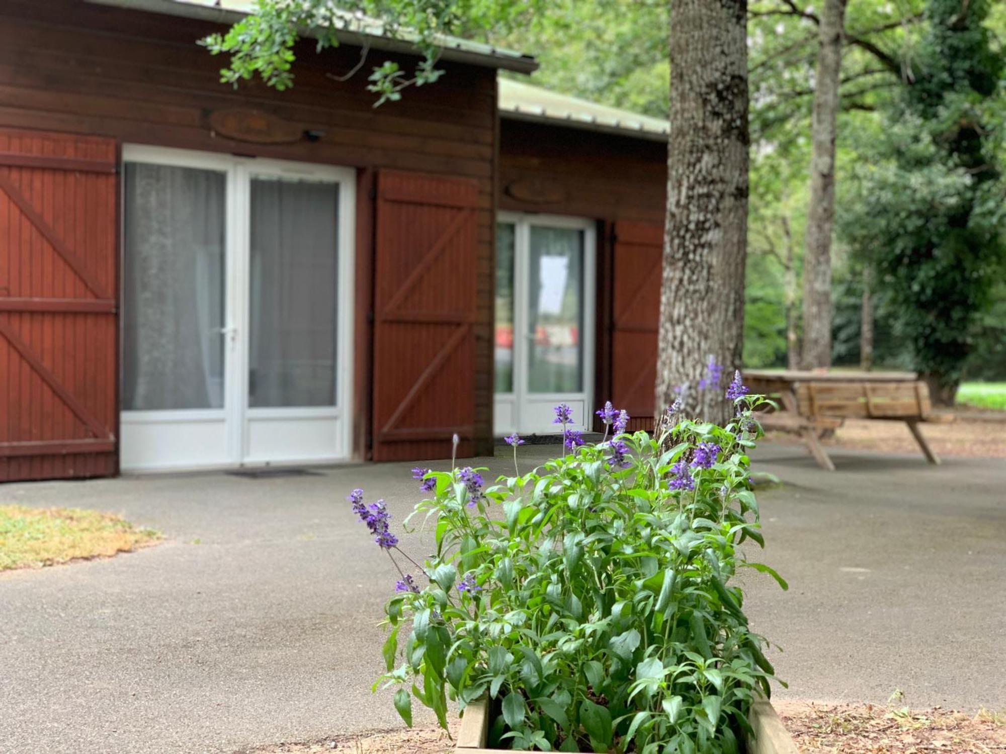 Chalets Mouliere Evasion Montamisé Eksteriør billede