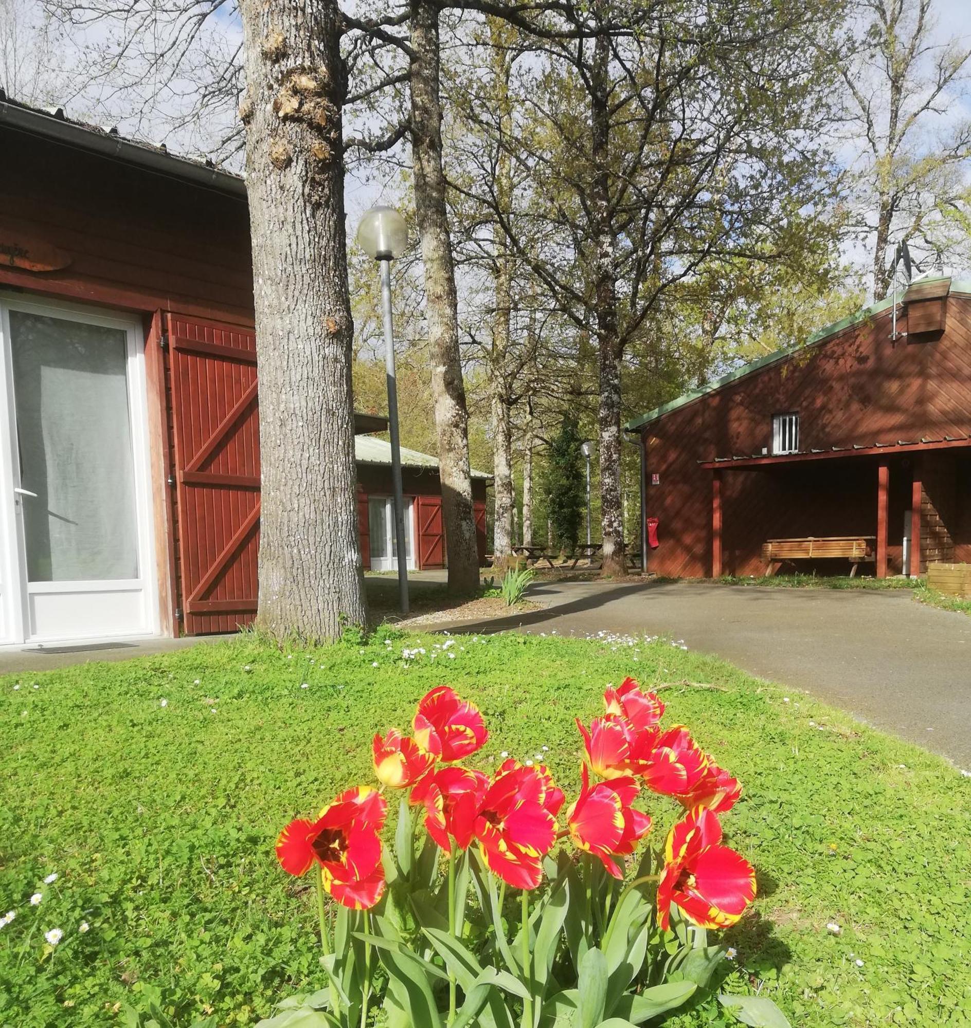 Chalets Mouliere Evasion Montamisé Eksteriør billede